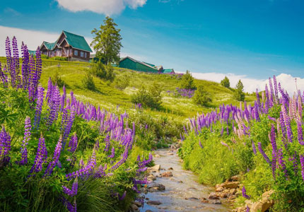 Amritsar to Dal Lake Srinagar Scenic Hills & Gardens Journey