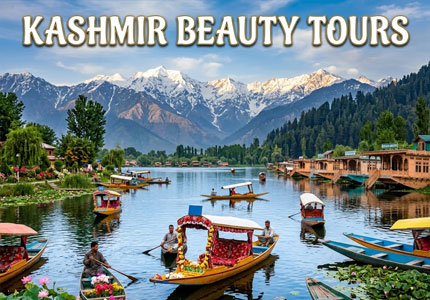 Kashmir Beauty Tours