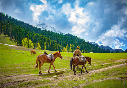 Kashmir Escape: Srinagar, Gulmarg & Sonmarg 9 Days Trip